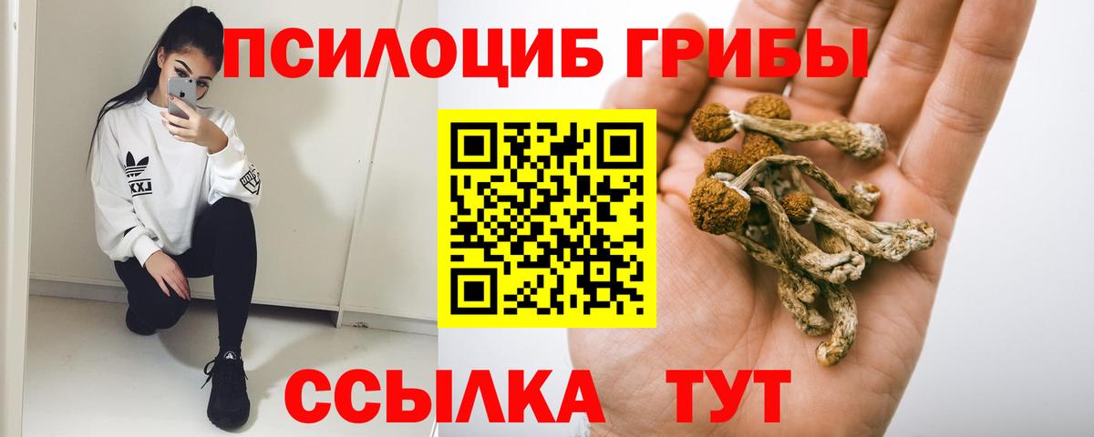 Туапсе  Псилоцибиновые грибы Psilocybe  Вход с VPN 