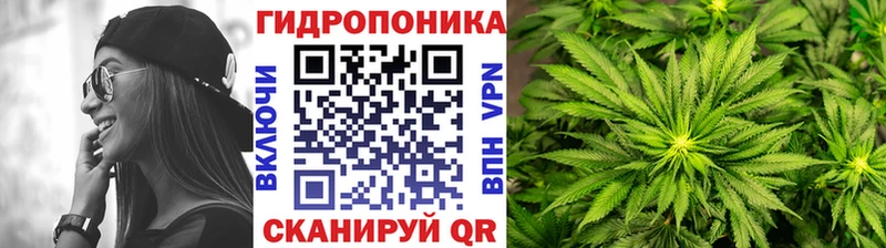 Бошки марихуана планчик  где можно купить   Туапсе 